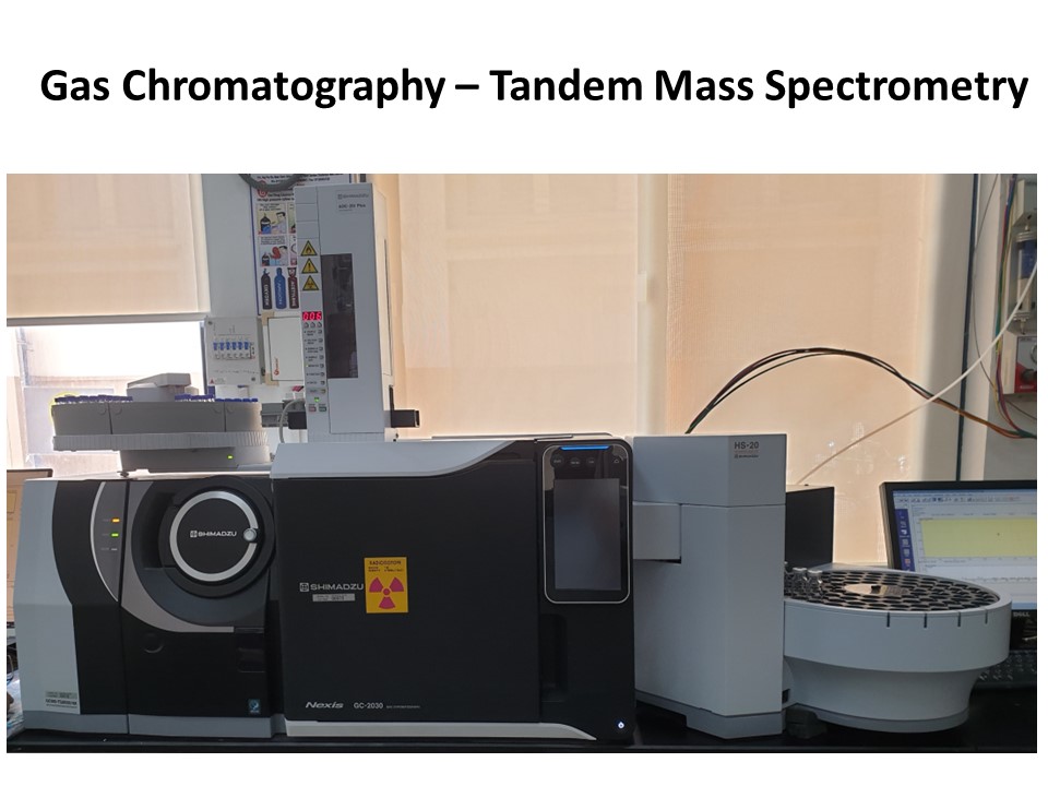 Gas Chromatography - Tendem Mass Spectrometer
