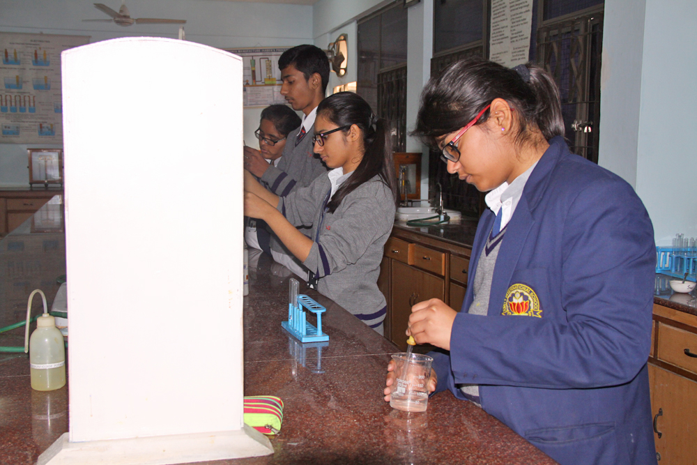 Students understanding properties of various elements in chemistry lab.