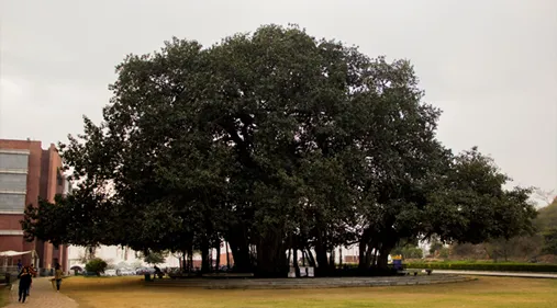 green Campus