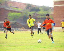 Sports