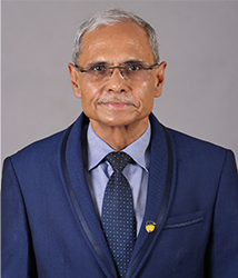 Prof. Vinay  Sharma